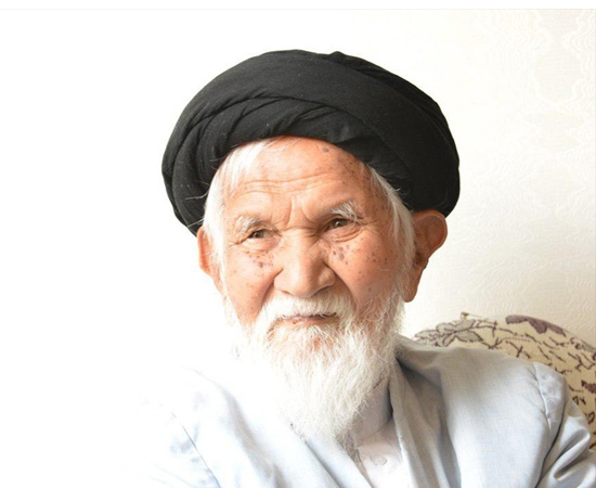 آیت الله سید حسن صالحی